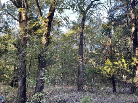 Land, LaRue, TX