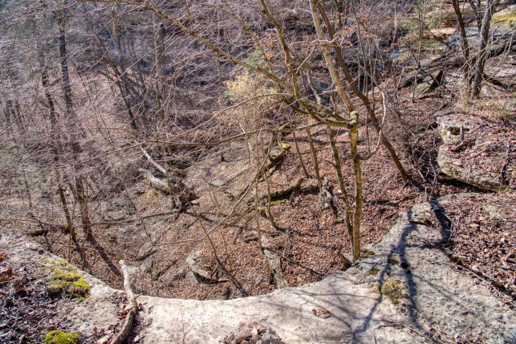 Picture 14