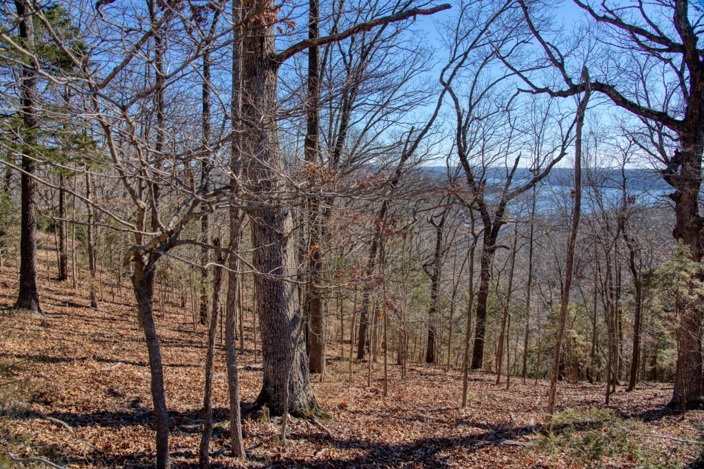 Picture 41