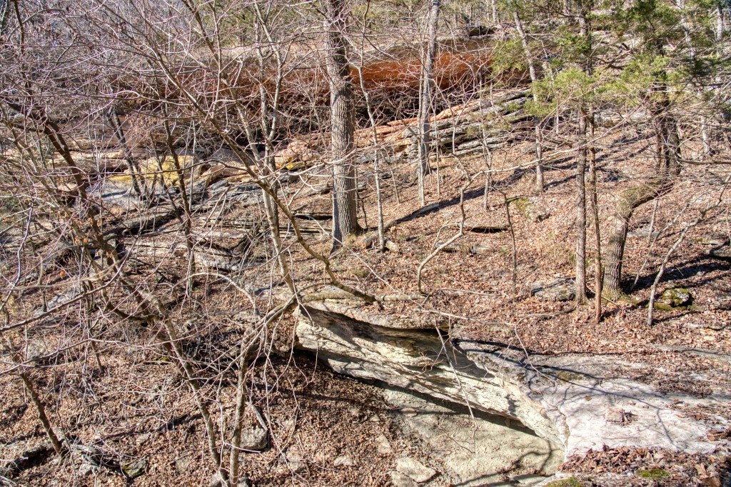 Picture 15