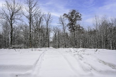 Trego, WI Vacant Wooded Land