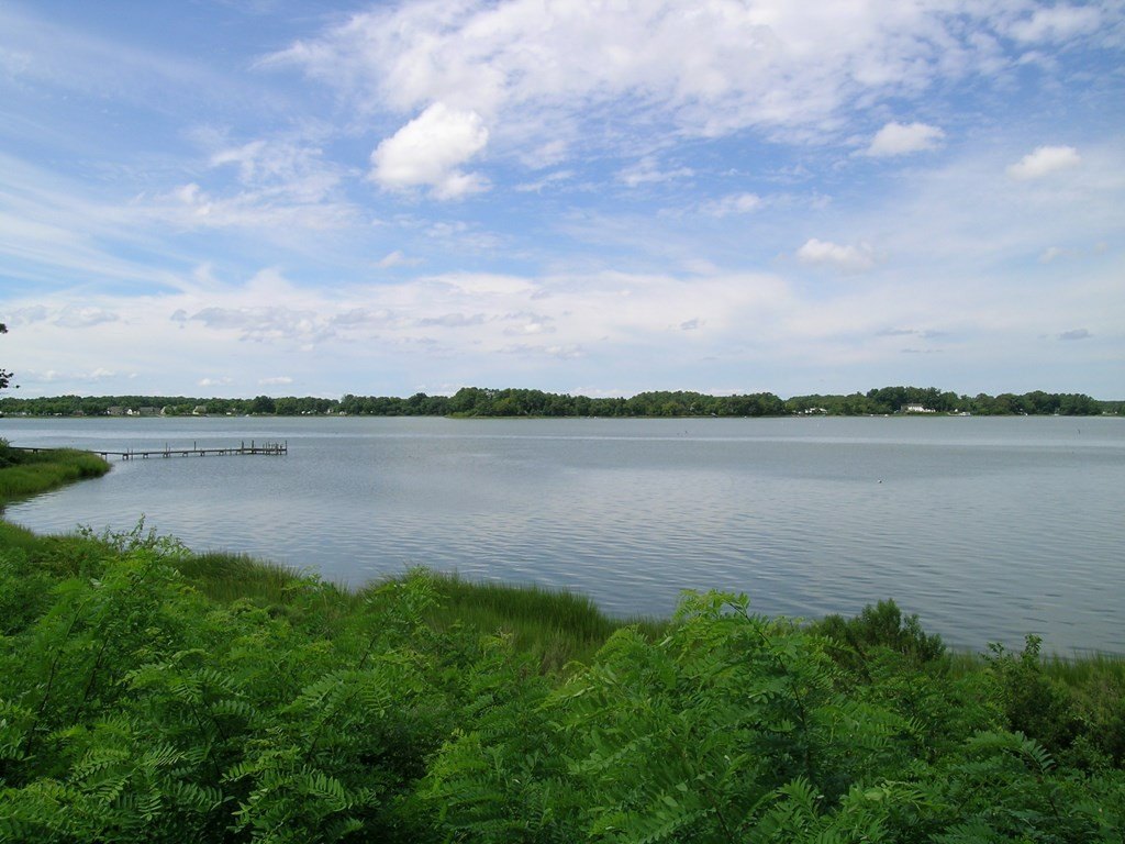Picture 8