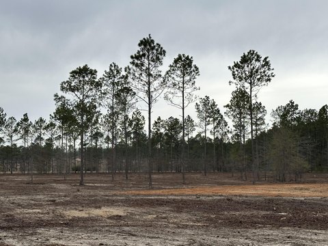 Aiken Land with Riding Trails