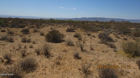 LAND - Yucca, AZ