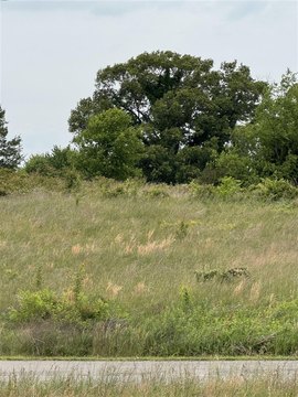 Residential Lot in Blossom Hills