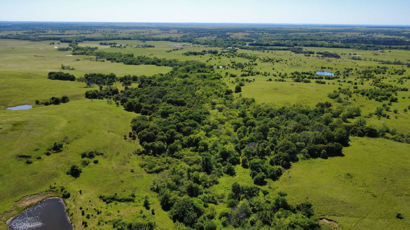 464 Acres Premier Hunting Land