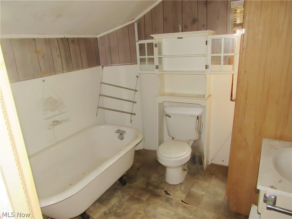 Picture 19
