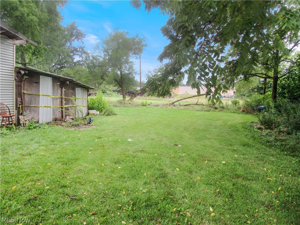 Picture 6