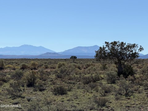 Land, Williams, AZ