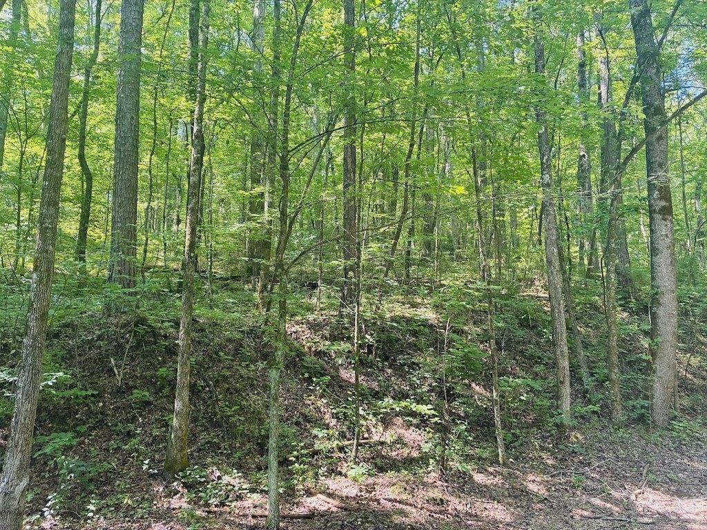 Picture 21