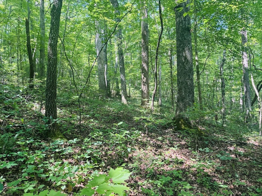 Picture 24