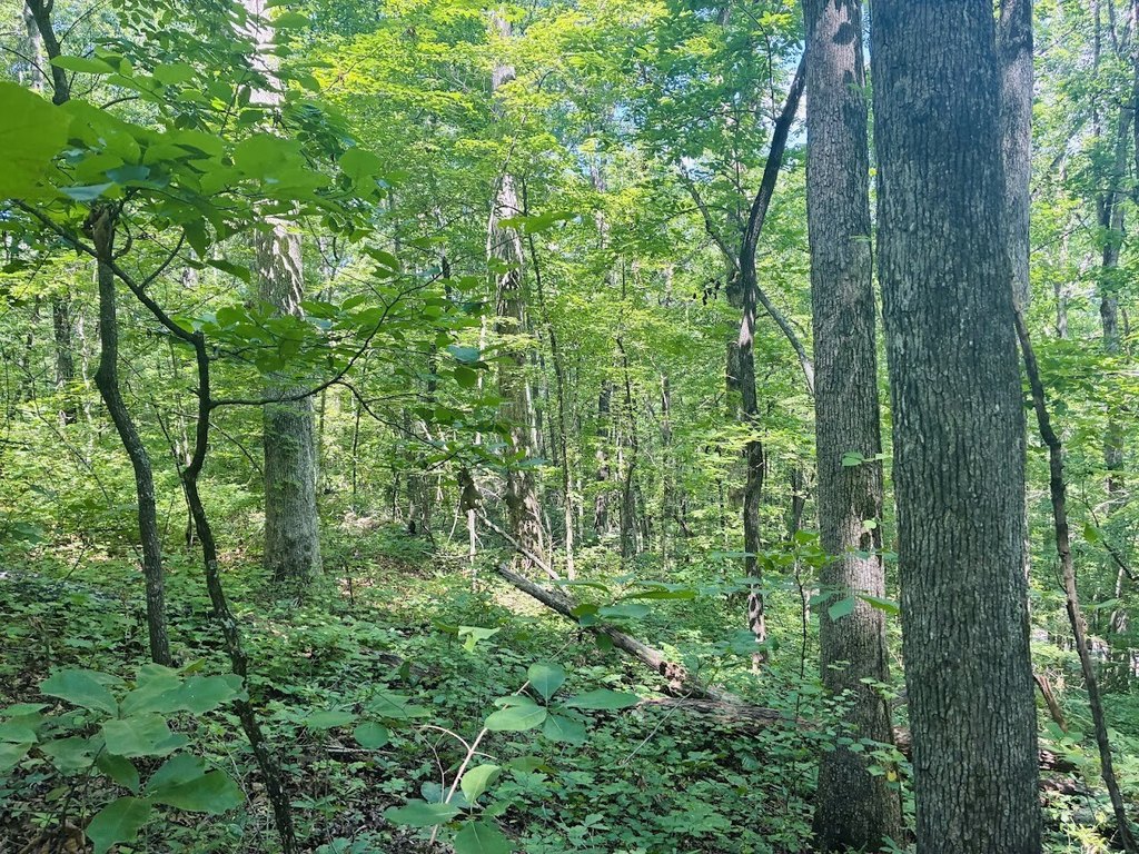 Picture 29