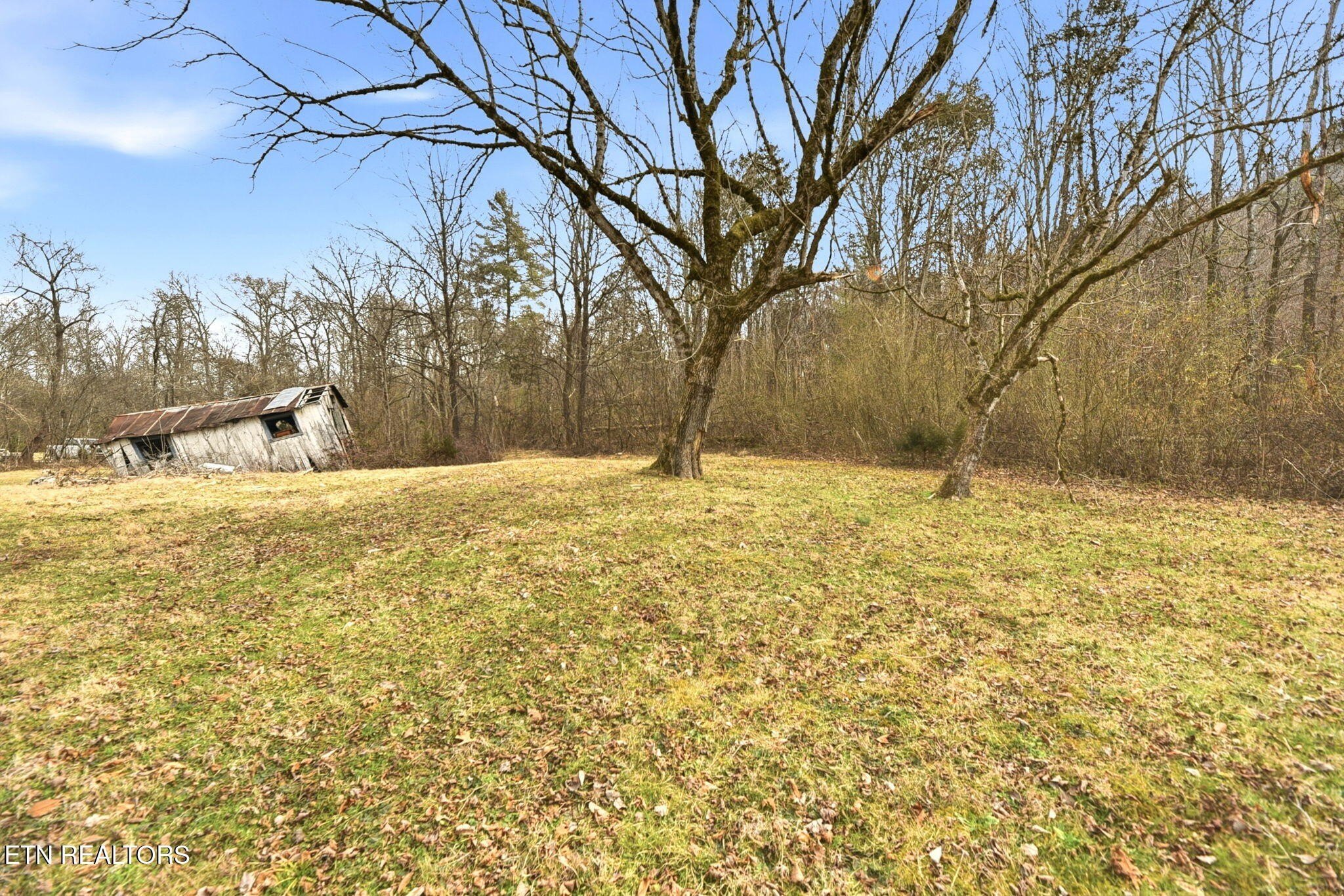 Land with Mountain and Country Views