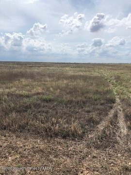 Land -40, Wildorado, TX