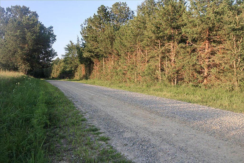 Picture 24
