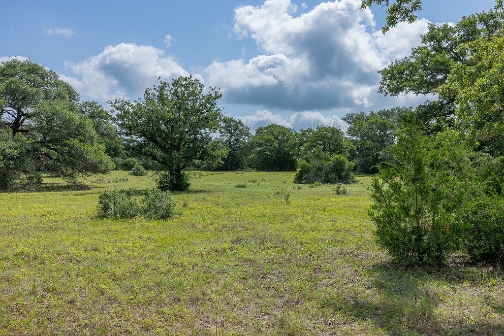 Picture 16
