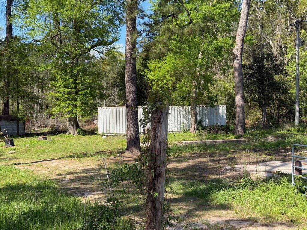 Picture 21