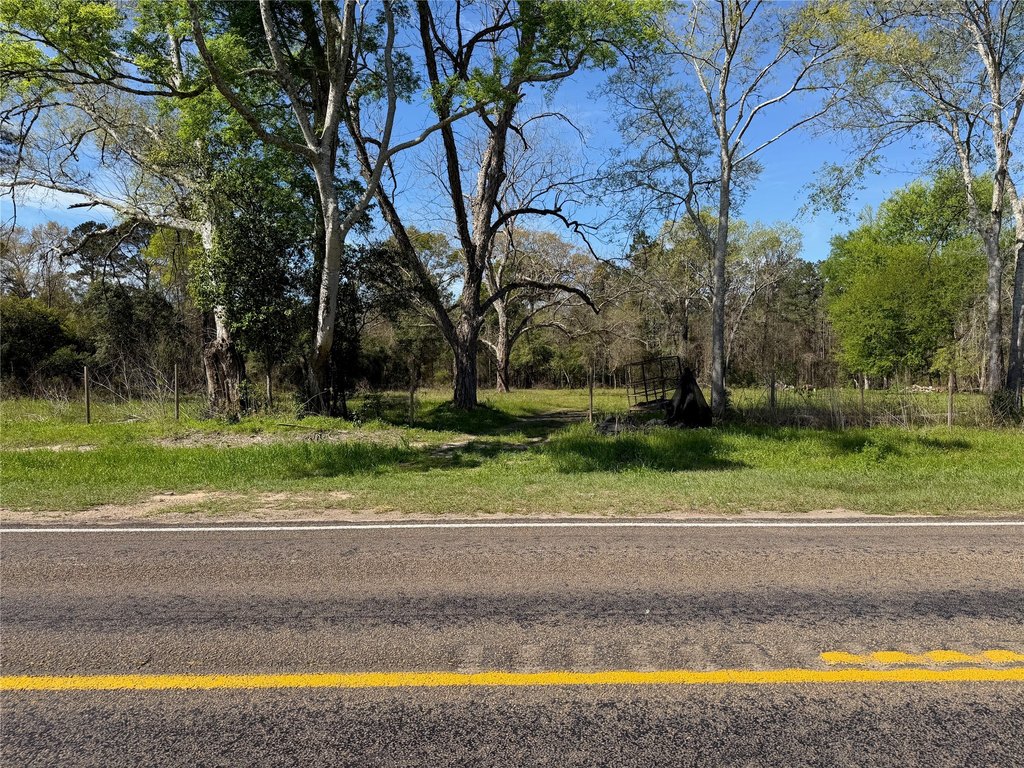 Picture 16