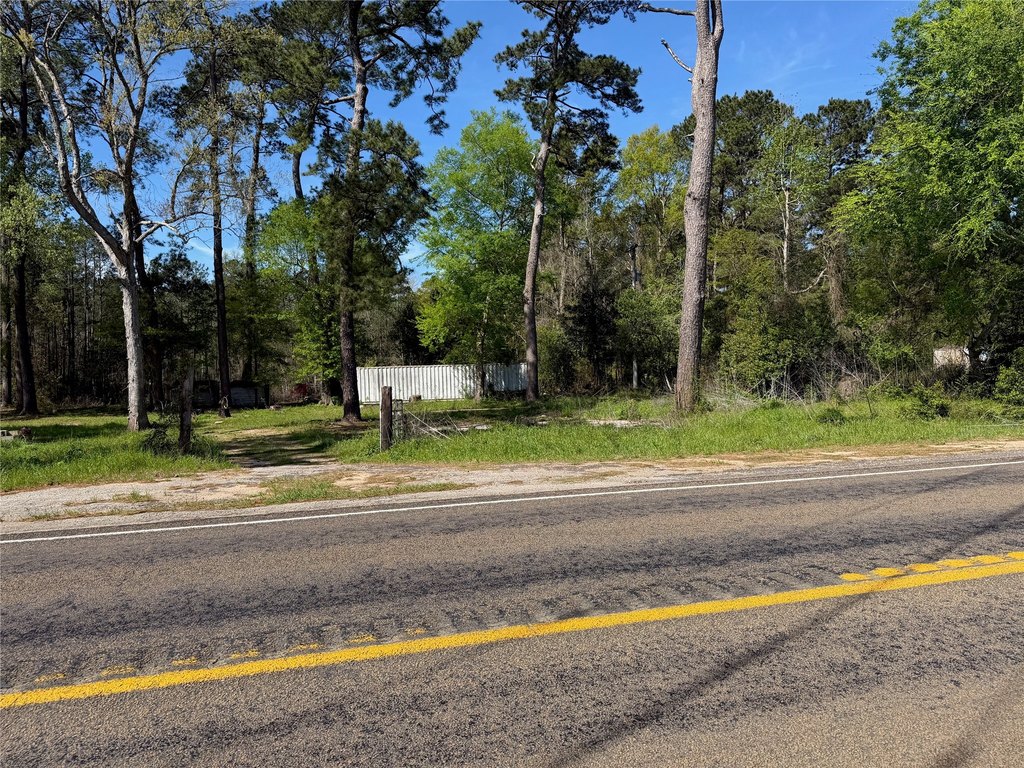 Picture 19