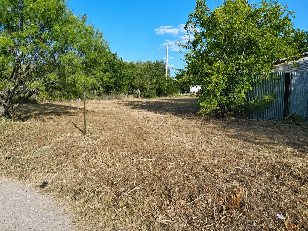 Picture 16