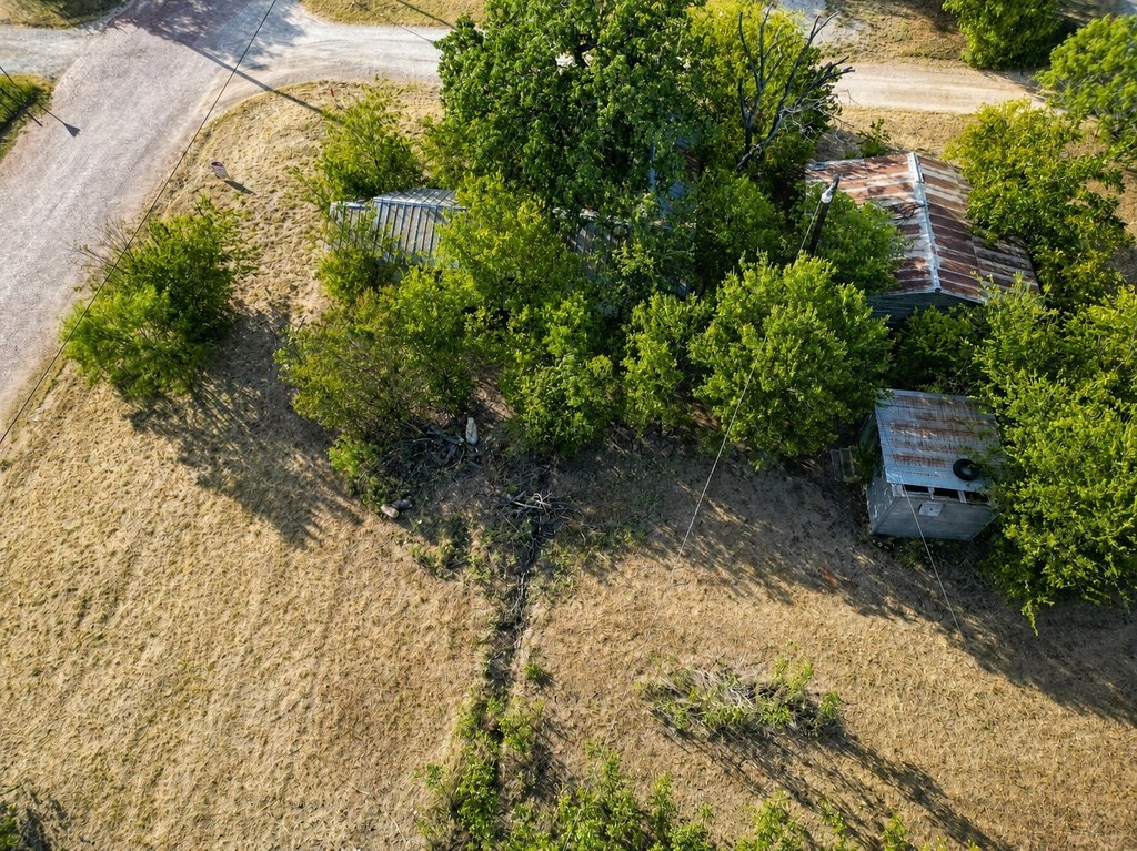 Picture 4
