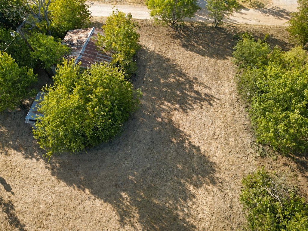 Picture 14