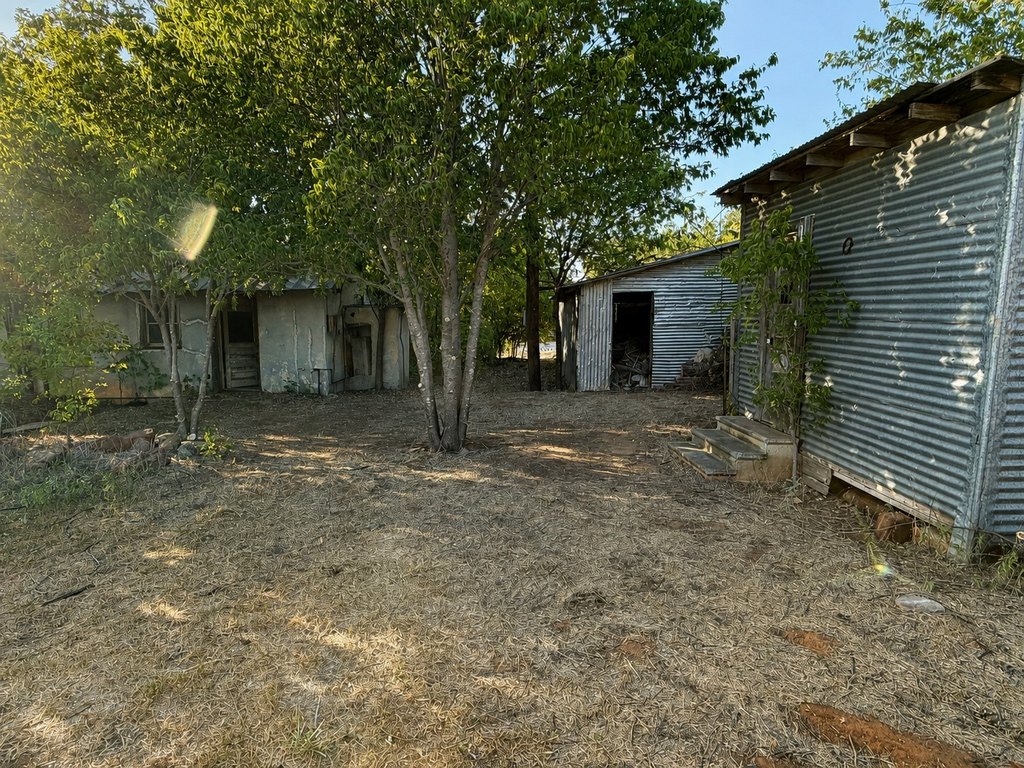 Picture 8