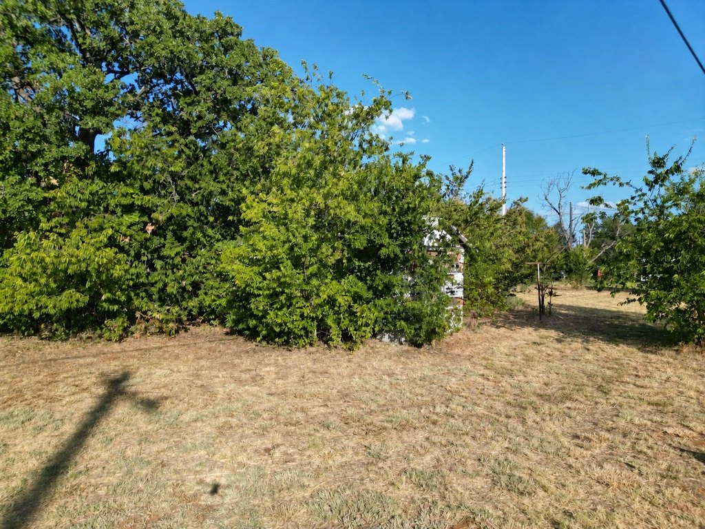 Picture 11
