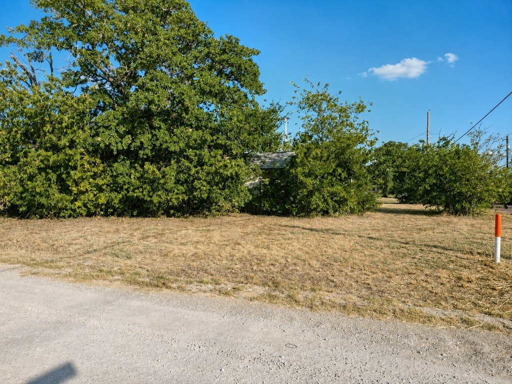 Picture 5