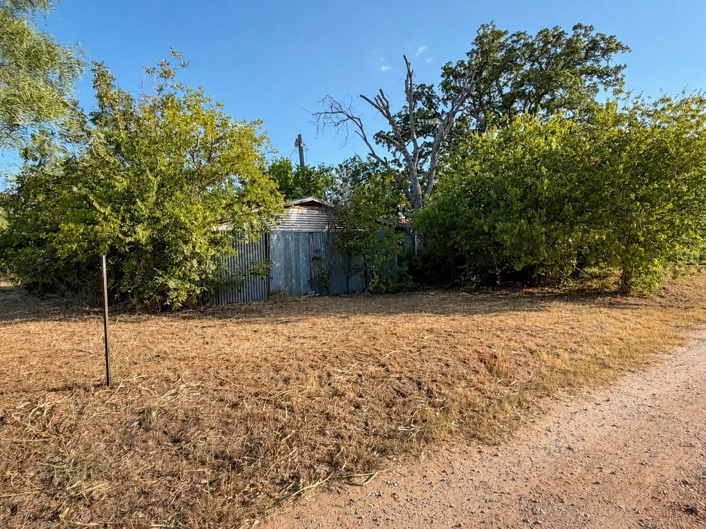Picture 18