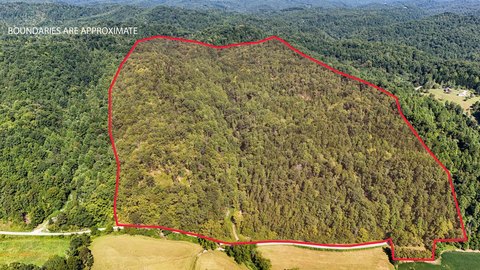 Hunting Land with Road Frontage