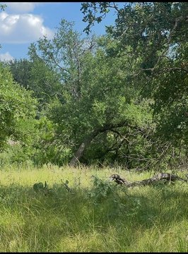 Lake Brownwood RV Lot