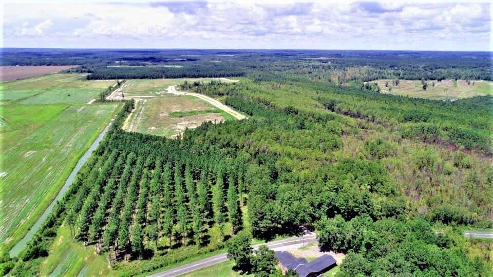 193 Acres Hunting Land, Summerton