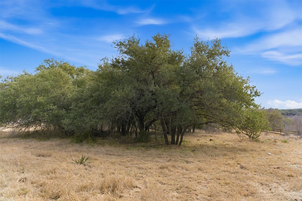 Picture 31