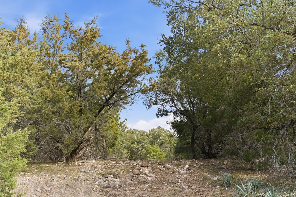 Picture 33