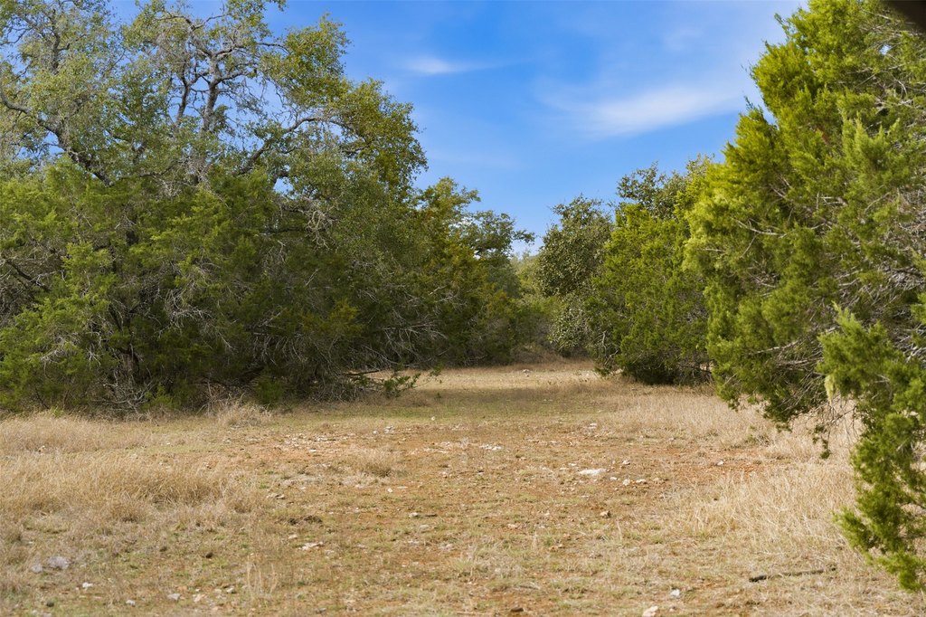 Picture 18