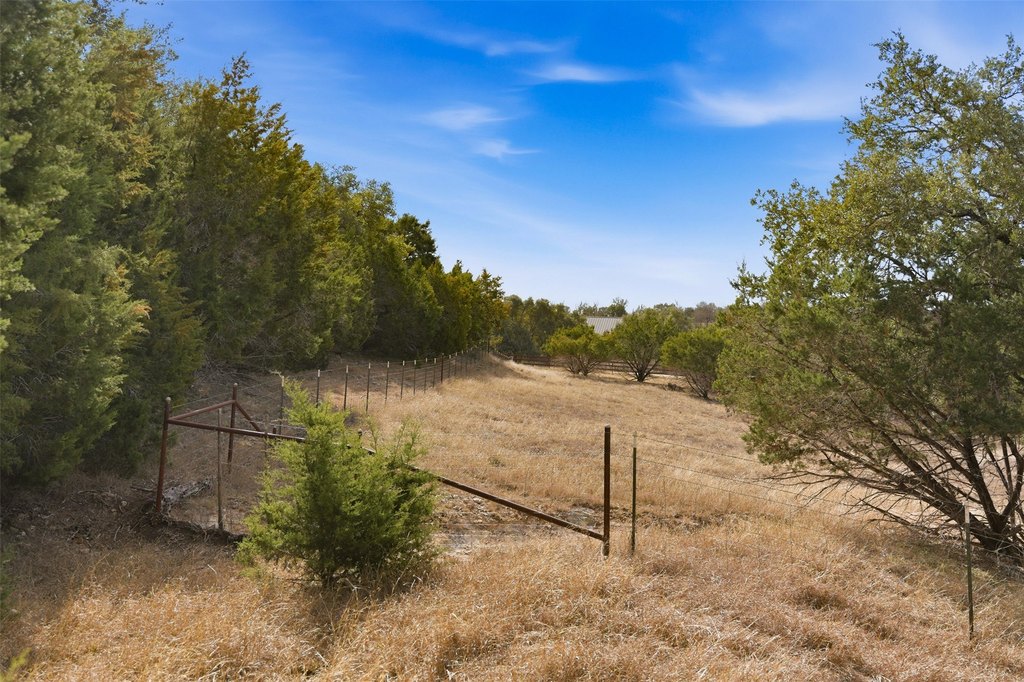 Picture 28