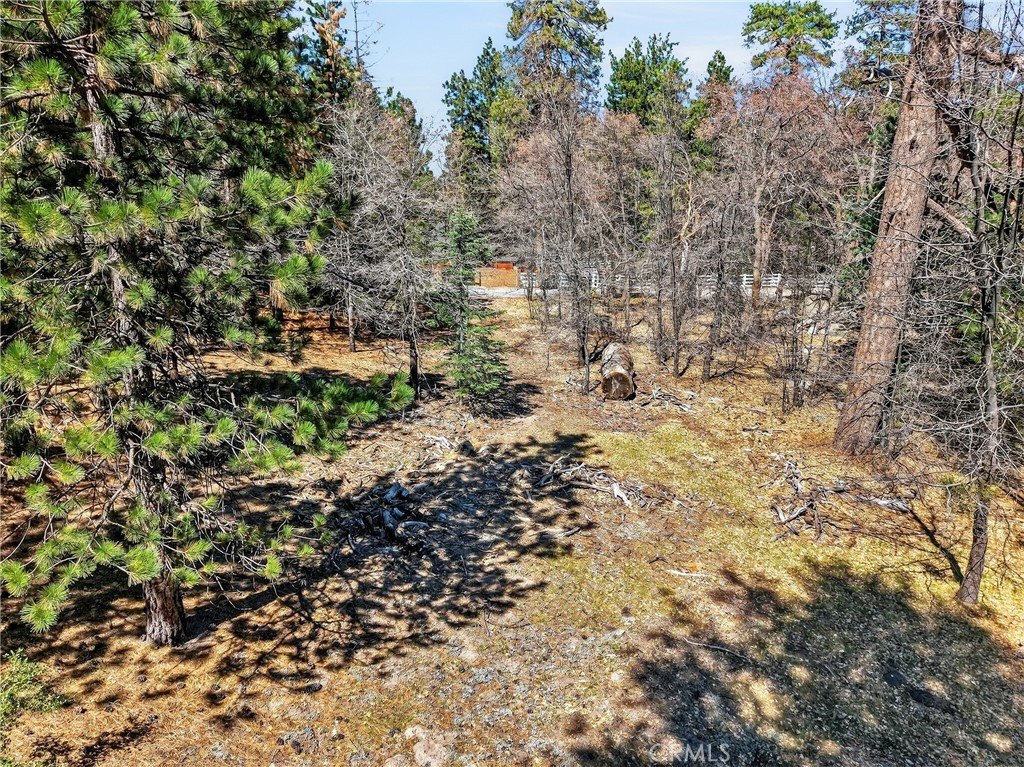 Picture 3
