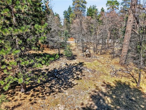 Flat Land in Running Springs