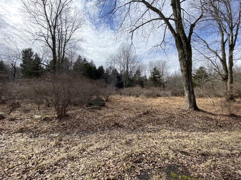 Pocono Lake Land For Sale
