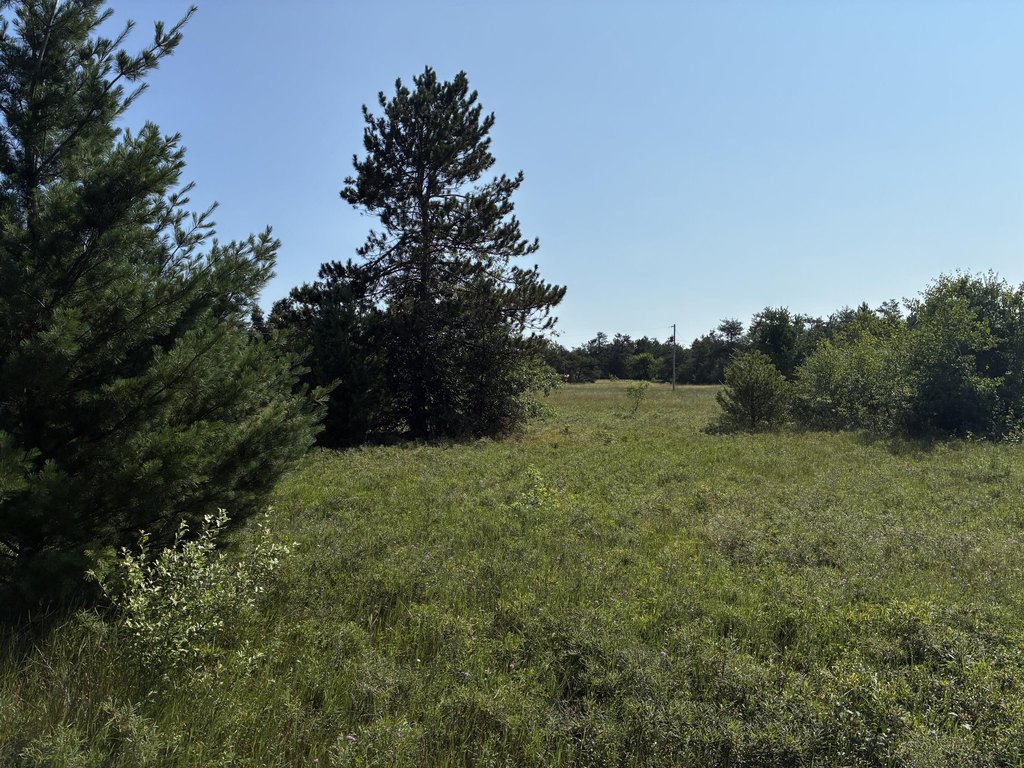 Picture 4