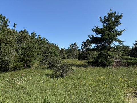 Vacant Commercial Acreage Site