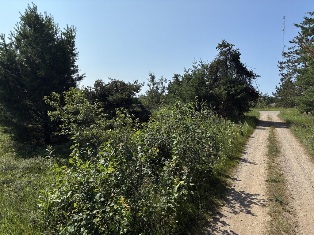 Picture 5
