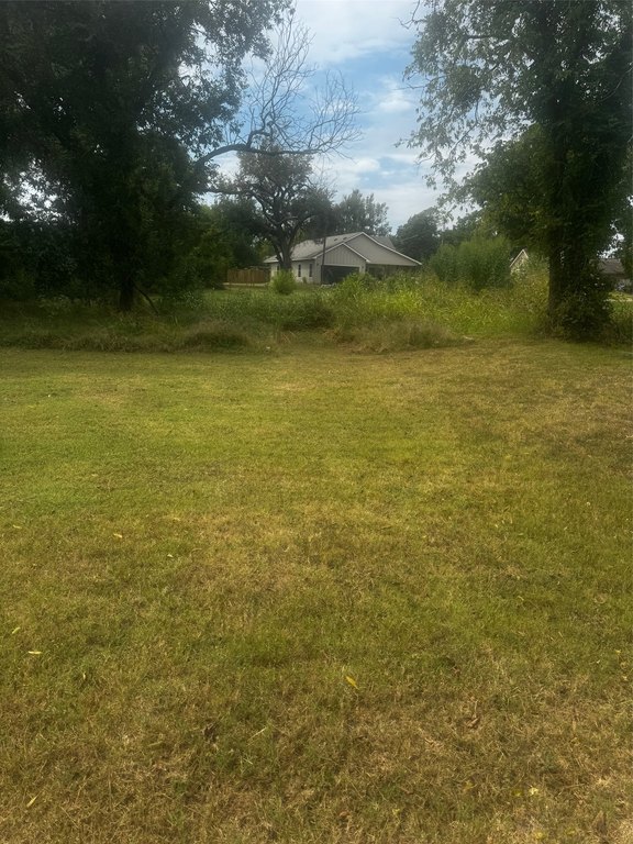 Picture 5