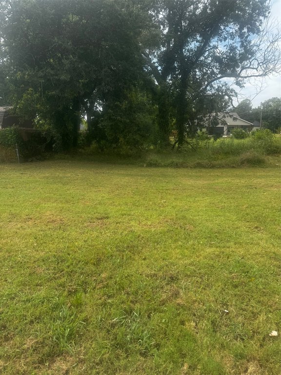 Picture 4