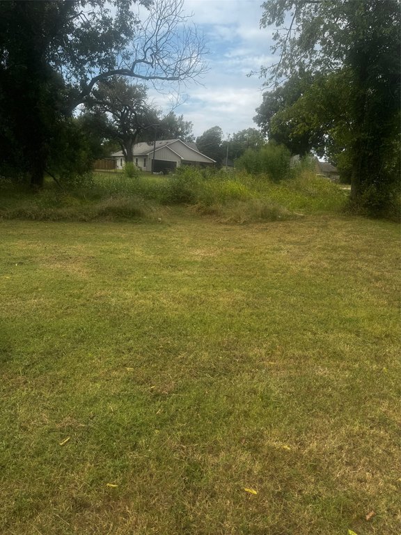 Picture 2