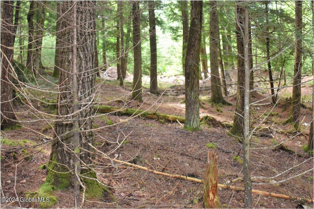 Picture 8