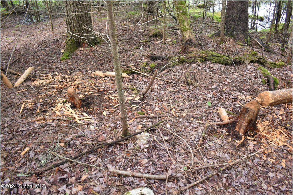 Picture 15