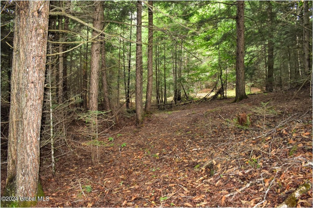 Picture 6