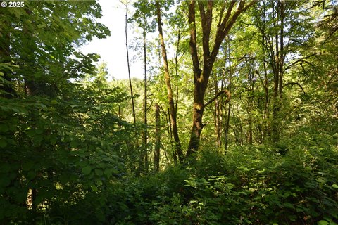 Longview, WA Wooded Building Lot